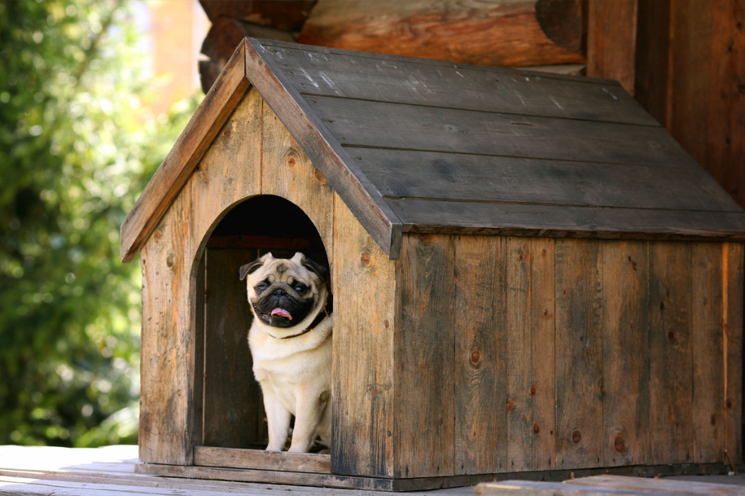 How to Soundproof a Dog Kennel